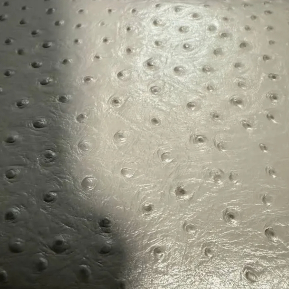 🔥New W/Tags, Dooney & Bourke Twist Strap Hobo In Rare Grey Ostrich/Natural/Gold - Picture 6 of 8